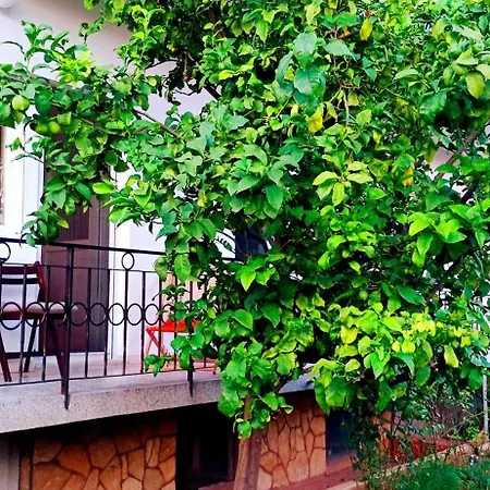 Tija Apartmán Zadar